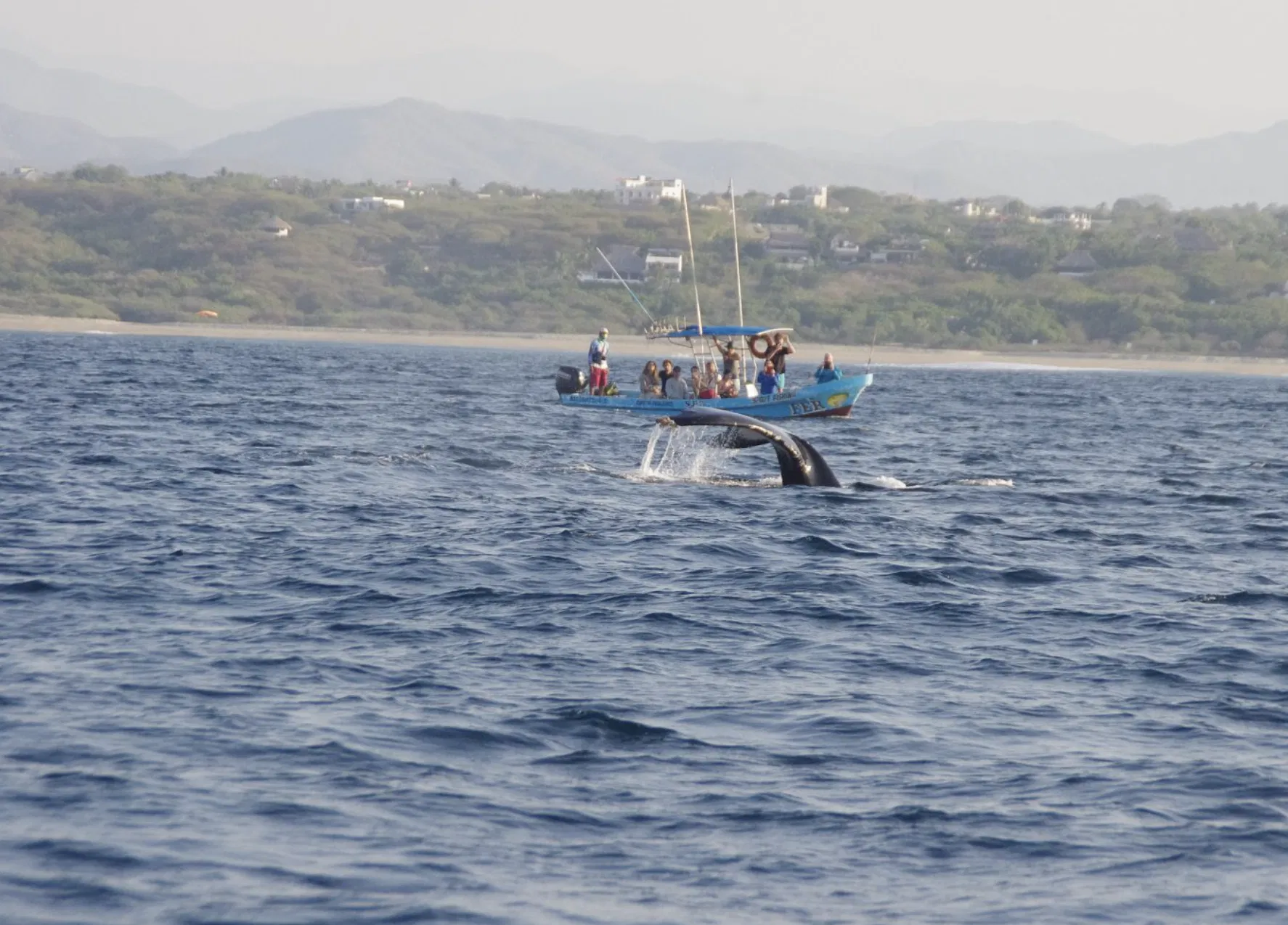 boat party puerto escondido